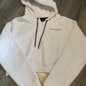 Alphalete Crop Hoodie
